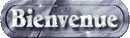 Mot de biemvenue